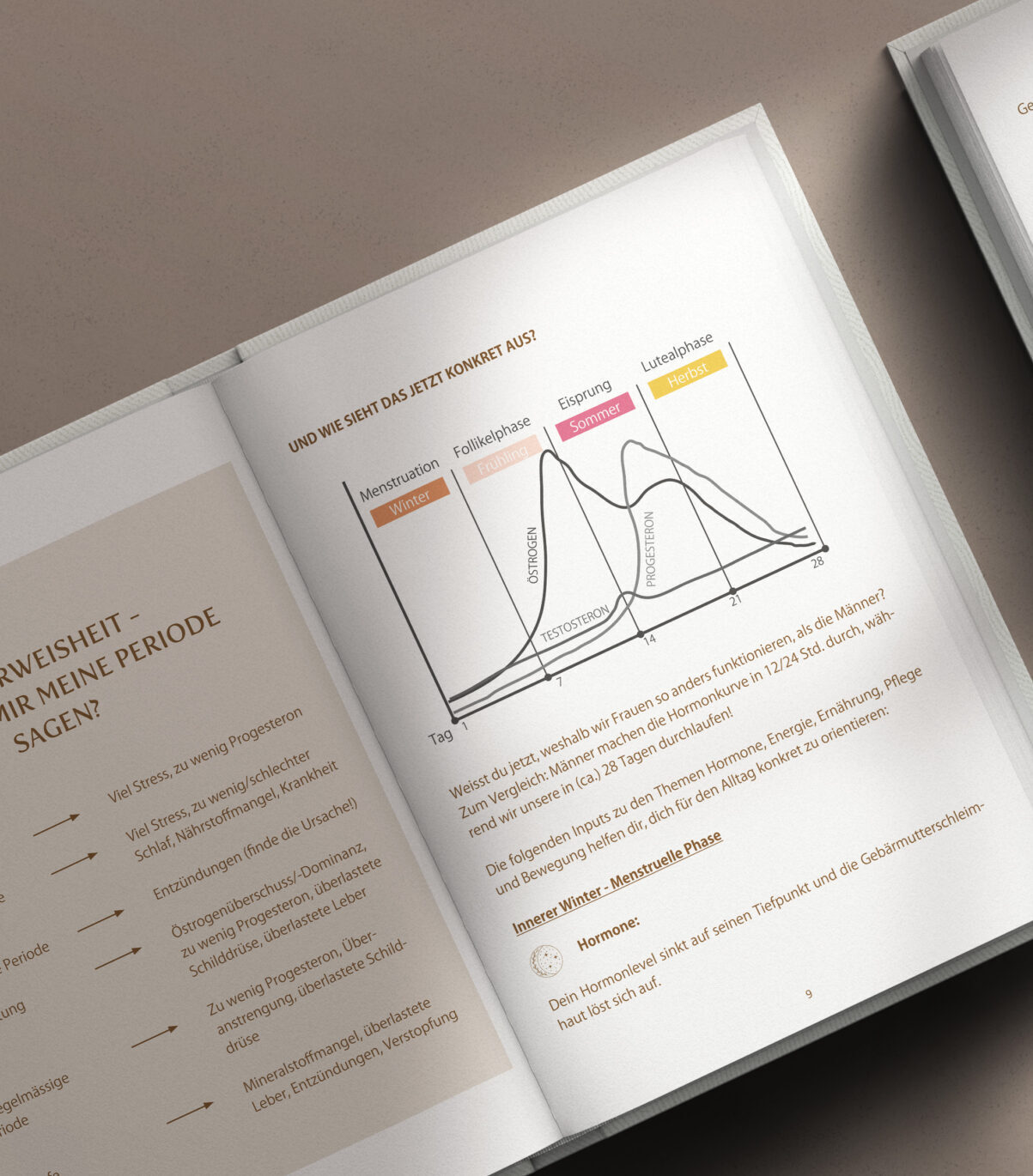 Wild Moon Agenda, Zyklusagenda, Feminine Apothecary, Naturkosmetik, Wild Moon Botanicals, Frauengesundheit, Frauenkreise, Frauencoaching, Female Empowerment